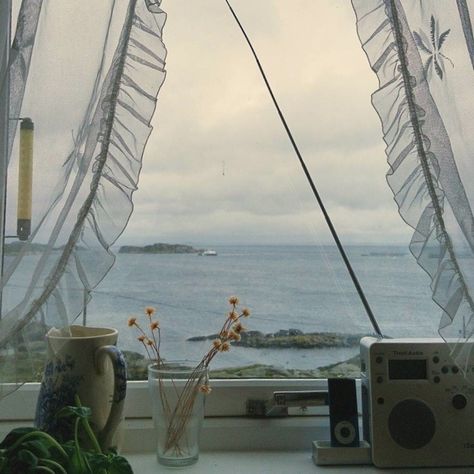 Playlist Covers, Open Window, The Ocean, The Story, Plants, Flowers