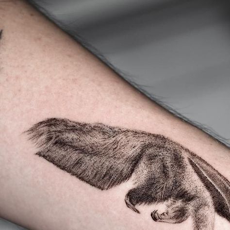 𝐄. 𝐁 𝐈 𝐍 on Instagram: "Anteater
Thank you Keeton." Anteater Tattoo, Hyper Realistic Tattoo, Thank You, Tattoos, On Instagram, Instagram