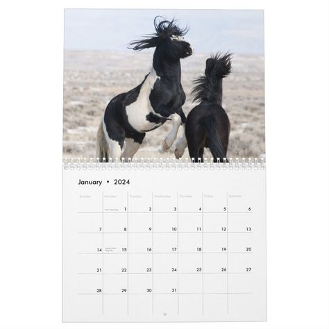 Washakie Wild Horse Wall Calendar  Zazzle Horse Calendar, Calendar Templates, Horse Wall, Wild Horse, Keep Track, Wild Horses, Wall Calendar, Track, Horses