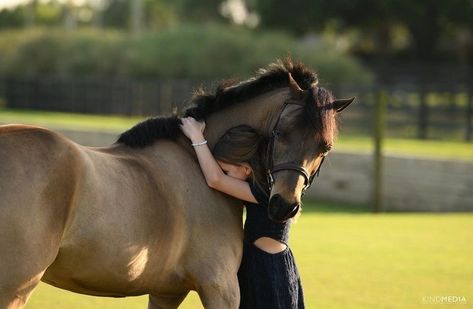 Horse Bonding, Autumn Horse, Horse Senior Pictures, Horse Reference, Equestrian Fashion, Star Stable, Horse Aesthetic, Equestrian Sports, Ranch Life