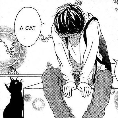 Kou Mabuchi, Ao Haru, Ao Haru Ride, Discord Server, A Cat, We Heart It, Wallpapers, Black