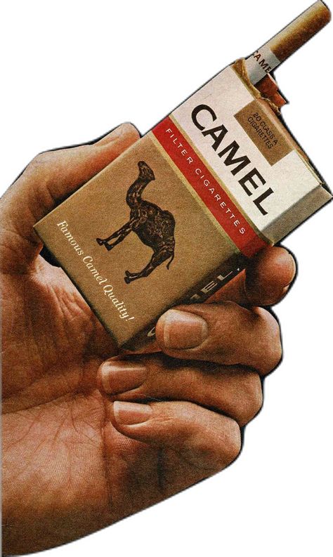 Camel Ciggerate Ads, Camel Ciggerate, Ciggerate Aesthetic, Long Drive, Camel, Drive, Rug, Quick Saves, Art