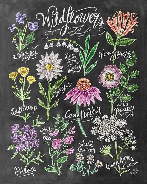 “Our Wildflower Field Guide print has us dreaming of flowers & spring blooms! We're so ready for Spring! Available on lilyandval.com. #springdreaming…” Spring Chalkboard Art, Summer Chalkboard Art, Summer Chalkboard, Spring Chalkboard, Lily And Val, Chalk Wall, Chalkboard Print, Chalkboard Lettering, Wildflower Field