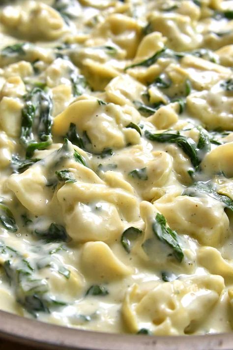 This Spinach Artichoke Tortellini is a pasta lover's dream! Rich, creamy, and loaded with cheesy goodness...this is one family dinner everyone will LOVE. And ready in just 20 minutes or less! Spinach And Artichoke Ravioli, Tortelinni Pasta Recipes, Tortellini Ideas, Tortellini Meals, Artichoke Tortellini, Lemon Tree Dwelling, Spinach Casserole, Artichoke Pasta, Tortellini Recipes