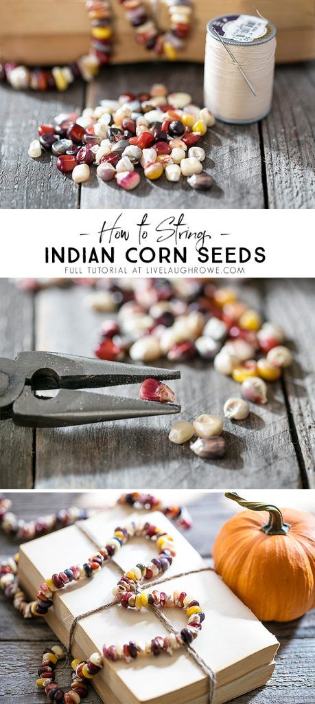 Lifestyle blogger, Kelly Rowe, shows you how to make a lovely Autumn Garland using Indian Corn Seeds. This project is one you'll want to add to your fall to-do list. Find out more at livelaughrowe.com Colored Corn, Corn In The Oven, Autumn Garland, Dried Corn, Corn Seed, Indian Corn, Fall Garland, Fun Halloween Decor, Thanksgiving Traditions