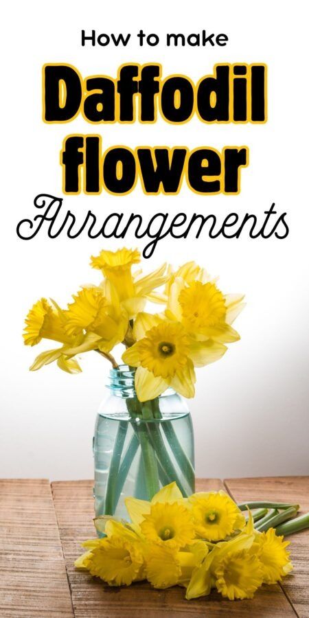 Daffodil flower arrangements are a simple and elegant way to add a touch of freshness and color to any room. Whether you're a seasoned crafter or just starting out, this project is perfect for anyone looking to get creative with flowers. Daffodil Flower Arrangements, Daffodils Arrangement, Spring Floral Arrangements Diy, Old Window Decor, Rustic Flower Arrangements, Burlap Garland, Spring Flower Arrangements, Spring Floral Arrangements, Spring Decor Diy