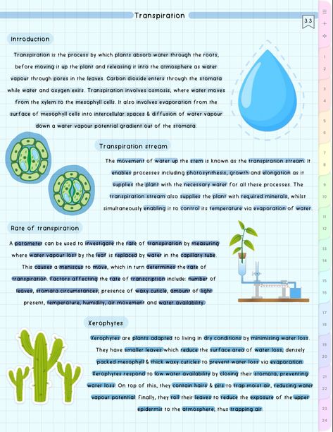 cute aesthetiv biology notes Biology Topics, Gcse Biology, Biology Revision, Study Resources, Study Flashcards, Aesthetic School, Biology Notes, Cell Biology, 9th Grade