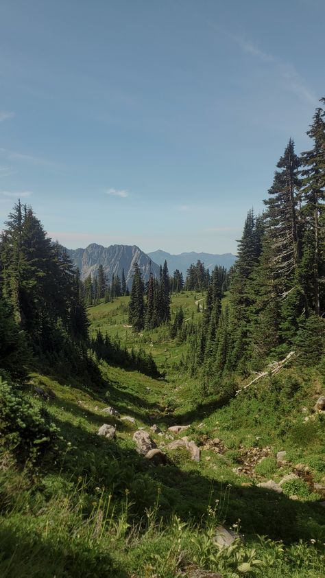 Pnw Summer Aesthetic, Pnw Scenery, Pacific Northwest Aesthetic, Washington Aesthetic, Pnw Summer, Pnw Home, Pnw Hiking, Washington Hiking, Pnw Aesthetic