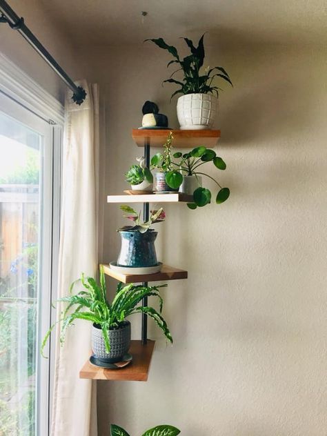 Plant Shelving, Zimmer Diy, Inside Garden, Window Plants, Plant Decor Indoor, House Plants Decor, Room With Plants, House Plants Indoor, Home Upgrades