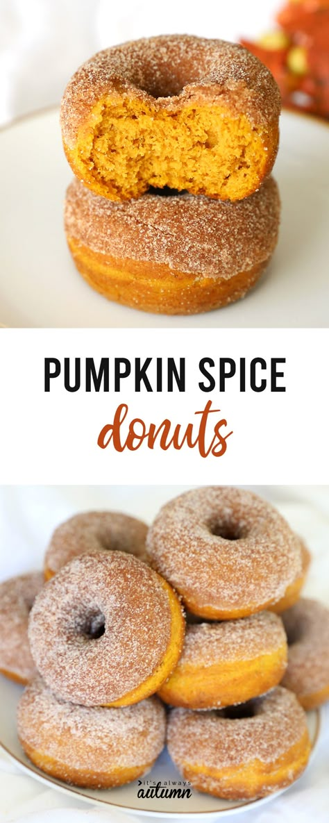 Easy Pumpkin Spice Donuts - baked, not fried! - It's Always Autumn Pumpkin Spice Donut Holes, Pumpkin Spice Donut, Pumpkin Spice Cake, Pumpkin Pancakes, Donut Holes, Everything Pumpkin, Pumpkin Everything, Baked Donuts, Delicious Pumpkin