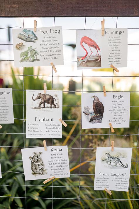 Animal Theme Wedding, Animal Wedding, Safari Wedding Theme, Zoo Themed Wedding, Zoo Theme Wedding, Zoo Wedding Theme, Zoo Wedding Ideas, Science Museum Wedding, Animal Table Numbers Wedding