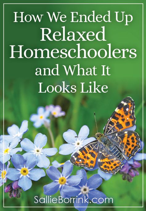 How We Ended Up Relaxed Homeschoolers and What It Looks Like - A Quiet Simple Life with Sallie Borrink Sonlight Homeschool, Relaxed Homeschooling, Middle School Counseling, World History Lessons, High School Hacks, Homeschool Inspiration, Homeschool Encouragement, Homeschool Schedule, Homeschool Learning