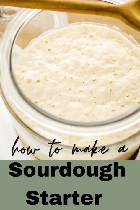 How to make a sourdough starter.  Blubbery sourdough starter ready to make bread. Dough Starter Recipe, Homestead Tips, Make A Sourdough Starter, Sourdough Bread Starter, Dough Starter, Easy Starters, Homemade Sourdough Bread, Bread Starter, Best Grilled Cheese