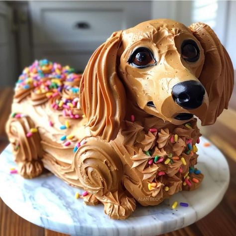 Weenie Dog Cake, Dachshund Party Ideas, Dachshund Cake Ideas, Wiener Dog Cake, Dachshund Birthday Cake, Cake Dog Design, Dog Cake Design, Birthday Cake With Sprinkles, Girl Cake Ideas