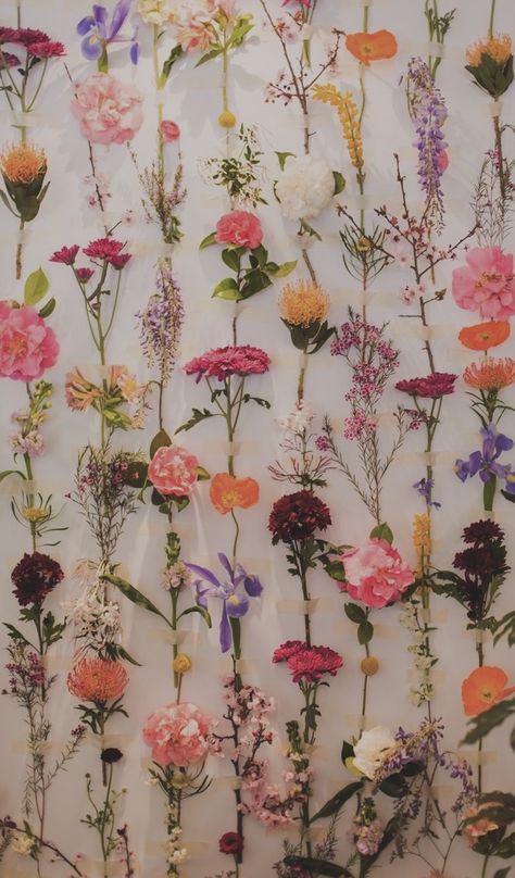 Trendy Flowers Wallpaper, Cute Esthetician Wallpaper, Pink September Wallpaper, Floral Asethic Wallpaper, Flower Screensaver Iphone Wallpaper, Wildflower Wallpaper Iphone, Wildflower Aesthetic Wallpaper, September Lockscreen, September Aesthetic Wallpaper