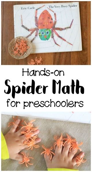 The Very Busy Spider Counting Activity Preschool Number Activities, Activity Preschoolers, Spider Lessons, Spiders Preschool, Spider Math, Math Alphabet, Pet Study, Spider Unit, Spider Rings