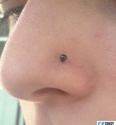 Black Stud, Piercing Tattoo, Body Mods, Nose Piercing, Piercings, Nose Ring, Tattoos, Black