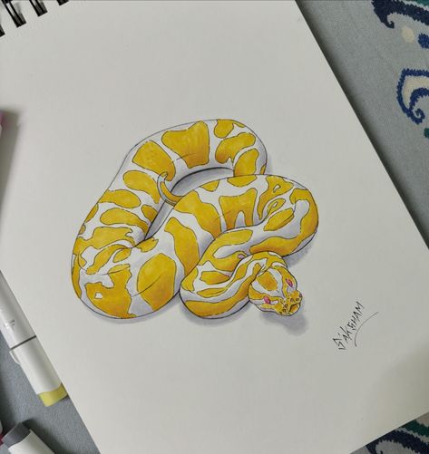 Ball Python 💛 #ballpython #art #artistsoninstagram #alcoholmarkers #coloured #yellow #snake #snakeart #markerart #drawing Python Drawing, Snake Drawing, Yellow Snake, Ball Drawing, Python Snake, Cute Snake, Snake Art, Horror Movie Art, Ball Python