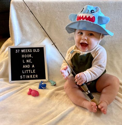 Baby letterboard Spring Baby Monthly Pictures, Milestone Picture Ideas Letter Board, 7 Month Letter Board Ideas, 5 Month Letterboard Ideas, 7 Month Milestone Pictures, 5 Month Milestones Pictures, May Milestone Pictures, June Milestone Picture Ideas, April Monthly Baby Picture