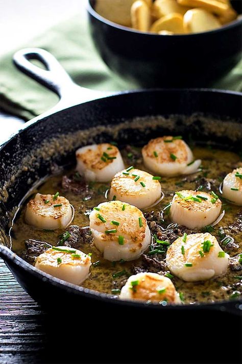 Scallops With Bacon, Bacon Cream Sauce, Shrimp Parmesan, Bacon Sauce, Pan Seared Scallops, Best Meatballs, Shrimp And Broccoli, Seared Scallops, Scallop Recipes