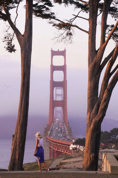 Golden Gate Bridge between two trees. Viewpoint from the presidio in San Francisco at sunset Golden Gate Bridge Photography, Pch Road Trip, Napa Trip, California Highway, California Hikes, San Francisco Golden Gate Bridge, Bridge Photography, Highway 1, Travel Wishlist