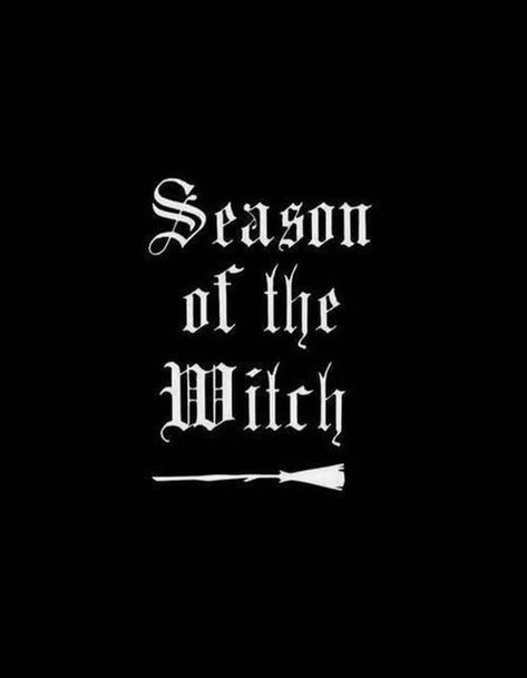 Black Pics, Witch Quotes, Samhain Halloween, Yennefer Of Vengerberg, Halloween Tags, Fall Inspiration, Season Of The Witch, Halloween Quotes, Theme Halloween