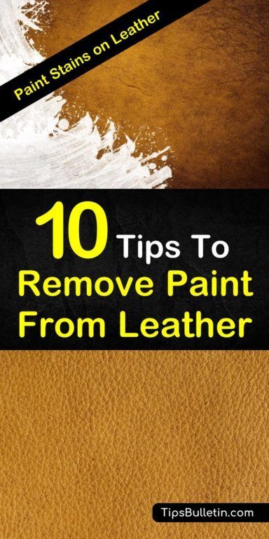 Paint Stains on Leather - 10 Tips To Remove Paint From Leather Remove Paint, Clean Baking Pans, Stain Removers, Cleaning Painted Walls, Cleaner Recipes, Glass Cooktop, Deep Cleaning Tips, Olive Oils, Remove Stains