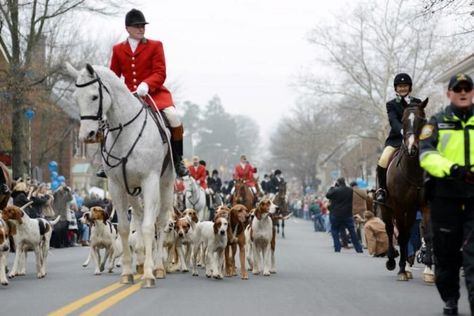 Beagle Hunting, Middleburg Va, Middleburg Virginia, Christmas Towns, Virginia Vacation, Christmas Pageant, Jackson Browne, Virginia Travel, The Nativity Story