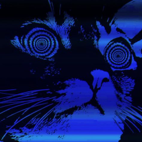 Blue Cat Pfp, Iconic Wallpaper Iphone, Wallpaper Themes Iphone, Black And Blue Wallpaper, Cybercore Aesthetic, Blue Aesthetic Dark, Wallpaper Themes, Cat Pfp, Everything Is Blue