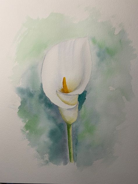 Calla Lily Watercolor Painting, Lilly Watercolor Painting, Peace Lily Painting, Calla Lily Watercolor, Arum Lily, Watercolor Flowers Tutorial, Lily Painting, Watercolor Ideas, Watercolor Flower Art