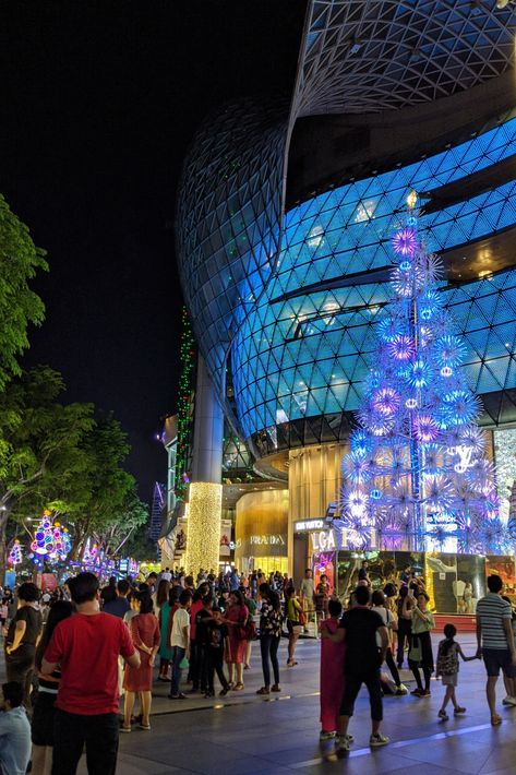 #travel #singapore #christmas #winter Singapore Snapchat, Singapore Christmas, Travel Singapore, Christmas Vibe, Christmas Place, Singapore Travel, Travel Asia, Christmas Activities, Christmas Winter