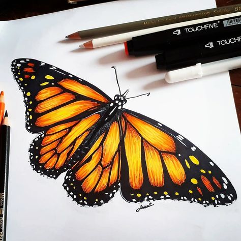 Butterfly Painting Easy, Colored Pencil Artwork Ideas, Art Markers Drawing, Colored Pencil Art Projects, Doddle Art, Prismacolor Art, Butterfly Art Painting, Color Drawing Art, Pencil Sketch Images