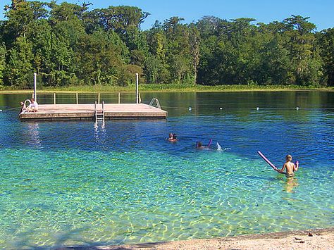 Wakulla Springs, Florida. Reminds me of Tallahassee:) Diving Platform, Wakulla Springs, Springs Florida, Floating Dock, Tallahassee Florida, Old Florida, Swimming Holes, Vintage Florida, Florida Travel