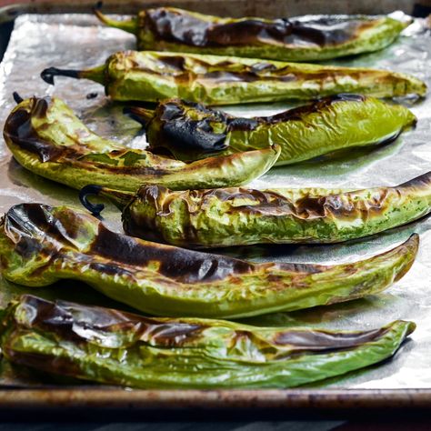 How To Roast and Freeze Green Chiles — Cooking Lessons from The Kitchn Hatch Chili Recipes, Hatch Peppers, Hatch Chile Recipes, Hatch Green Chili, Green Chile Recipes, Hatch Chili, Chile Recipes, Hatch Green Chile, Hatch Chile