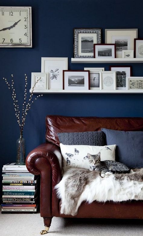 Brown leather sofa with navy blue wall Navy Accent Walls, Sofa Kulit, Brown And Blue Living Room, Furnitur Ruang Keluarga, Colors Combinations, Brown Couch, Brown Leather Sofa, Brown Living Room, Brown Sofa