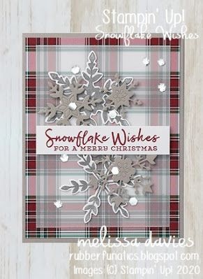 Cards Get Well Soon, Winter Cards Handmade, Get Well Soon Cards, Homemade Holiday Cards, Vellum Cards, Stamped Christmas Cards, Snowflake Cards, Homemade Christmas Cards, Stampin Up Christmas Cards