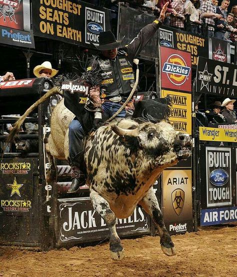 Rhett Eaton, Jess Lockwood, Pbr Bull Riders, Pbr Bull Riding, Bucking Bulls, Rockstar Energy Drinks, Bronc Riding, Madara Wallpaper, Rodeo Time