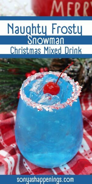 Frosty The Snowman Cocktail, Fun Christmas Drinks, Summer Mixed Drinks, Peppermint Schnapps, Holiday Drinks Alcohol, Christmas Drinks Alcohol Recipes, Christmas Party Drinks, Christmas Drinks Recipes, Christmas Drinks Alcohol