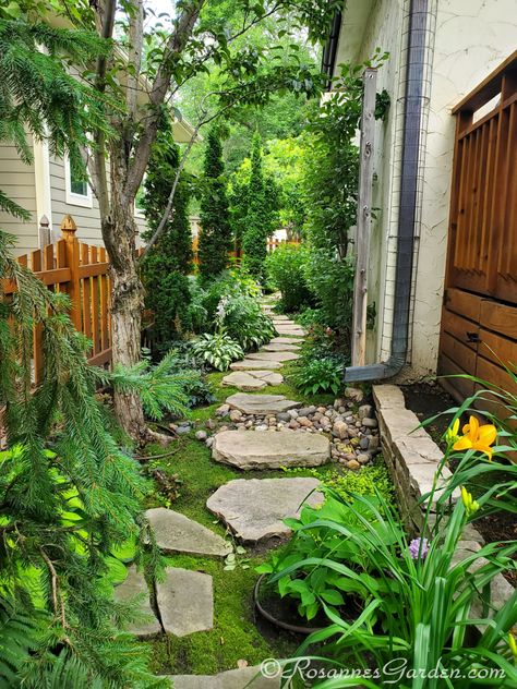 Follow this winding cottage garden path and tour this seven-foot wide garden to get great small space design tips. Tropical Garden Plants, Tropical Landscape Design, Narrow Garden, Side Yard Landscaping, Tropical Garden Design, Cottage Garden Design, Walled Garden, Side Garden, Outdoor Gardens Design