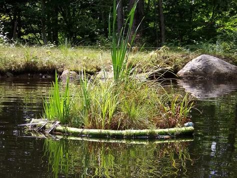 Diy Floating Island For Pond, Floating Island Diorama, Floating Island Map, Floating Pond Island, Floating Island Painting, Hydroponic Gardening Diy, Duck Island, Inflatable Floating Island, Floating Island