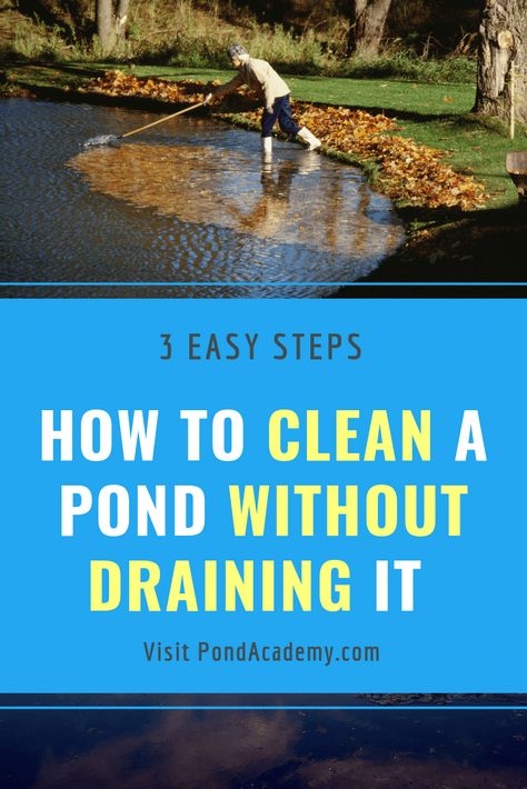 Fish Pond Gardens, Farm Pond, Living Pool, Pond Cleaning, Building A Pond, Natural Swimming Ponds, Pond Maintenance, Garden Pond Design, Diy Pond