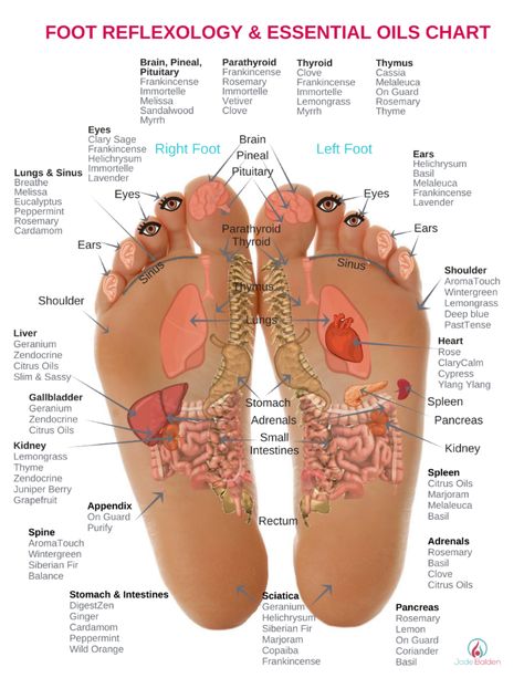 Foot Reflexology & Essential Oils Everyone can learn to understand their body and take a more proactive role in their health.  Our body tells us a lot of information.  With some guidance, you can feel a greater sense of confidence in caring for your own health.       What is Reflexology? Reflexology has been … Essential Oil Chart, Reflexology Points, Reflexology Foot Chart, Foot Reflexology Massage, Hand Reflexology, Reflexology Chart, Essential Oils Guide, Reflexology Massage, Foot Reflexology