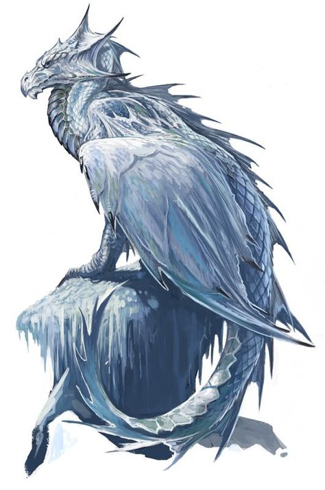 blue ice dragon Dragon Medieval, Ice Dragon, Cool Dragons, Fairy Dragon, Dragon Rider, Dragon Pictures, Mythical Beast, White Dragon, Dragon Artwork