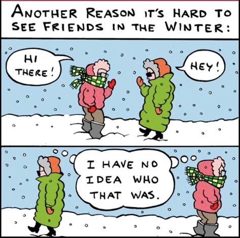 Cold Humor, Cold Weather Funny, Winter Humor, Snow Humor, Weather Memes, Funny Day Quotes, Cute Piglets, Funny Cartoons Jokes, Winter Quotes