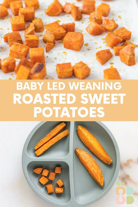 These roasted sweet potatoes in wedges, sticks or cubes are simple to make and perfect for baby led weaning. Of course, the whole family can enjoy them, too! Try this easy and nutritious baby led weaning sweet potato recipe today. Baby Food Sweet Potato Recipe, Sweet Potato Recipe For Baby, Sweet Potato Bites For Baby, Sweet Potato For Toddlers, Sweet Potato Recipes For Babies, Blw Sweet Potato Recipes, Baby Sweet Potato Recipe, Sweet Potato Blw, Toddler Sweet Potato Recipes