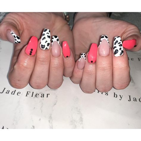 Cow print nails and a bright coral 😍 #cowprintnails #cowprint #acrylicnails #coralnails #brightnails Coral Cow Print Nails, Cow Print Nails Orange, Cowprint Nails Turquoise, Neon Pink Cow Print Nails, Multi Colored Cow Print Nails, Coral Nails, Bright Nails, Cow Print, Acrylic Nails