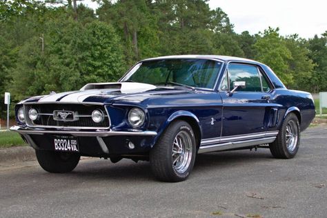 For Sale: 1967 Ford Mustang Coupe (dark blue, modified, 427ci V8, 4-speed auto) Classic Ford Cars, Classic Ford Mustang, 1967 Ford Mustang, Mustang Cars 1967, 1967 Ford Mustang Coupe, Blue Cars, Mustang 67, 1966 Mustang Coupe Restomod, 1967 Mustang Coupe