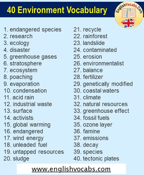 Nature Vocabulary, Environment Vocabulary English, Environment Essay, How To Take Care Of The Environment Poster, Important Vocabulary Words, English Vocabulary List, Types Of Environmental Pollution, Ozone Layer, Greenhouse Effect