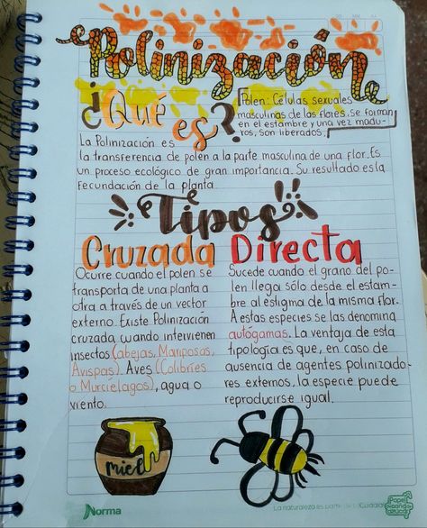 Polinización, Abejas, Naranja, Marrón. Bullet Journal, Humor, Humour