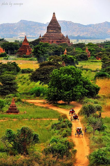 Bagan, Myanmar www.myanmartravelinformation.com Bagan Temples, Naypyidaw, Historical Temples, Bagan Myanmar, Myanmar Art, Myanmar Travel, Haha Photos, Beautiful Landscape Photography, Scenic Photography